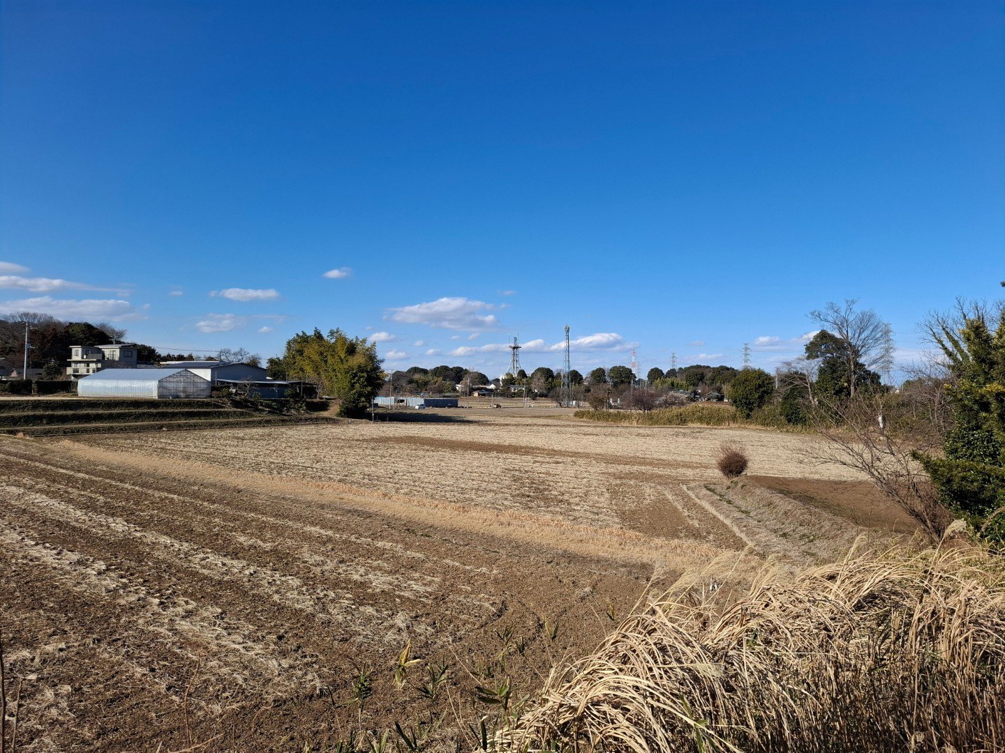日本埼玉縣慈恩寺玄奘三藏舍利塔