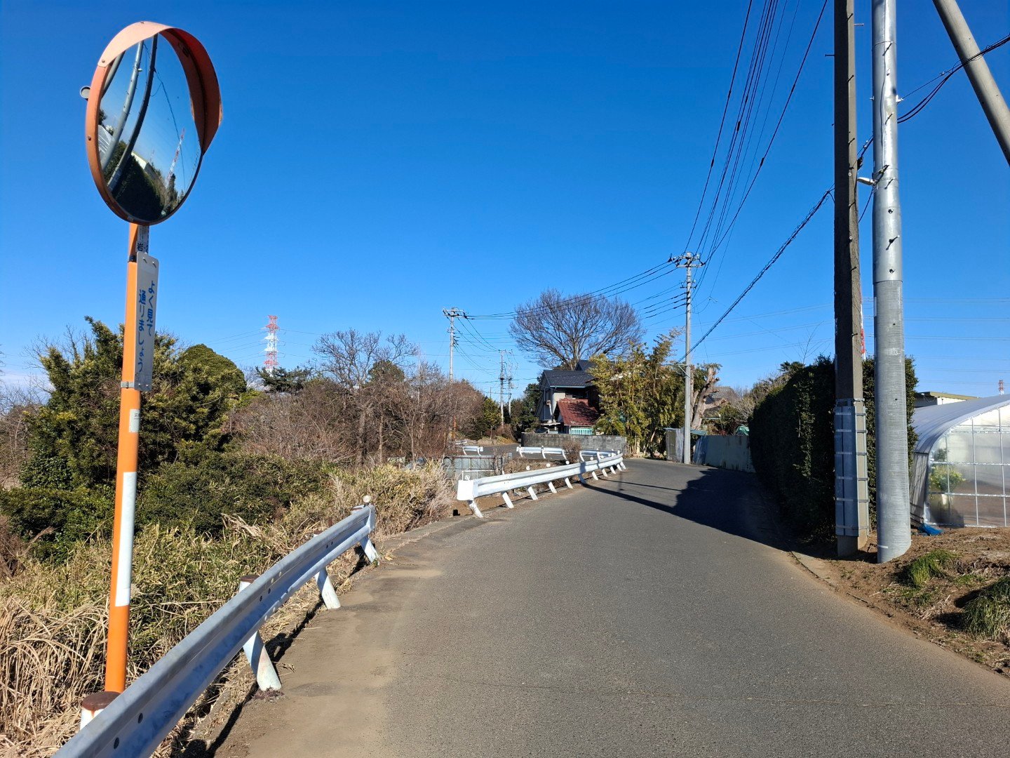 日本埼玉縣慈恩寺玄奘三藏舍利塔