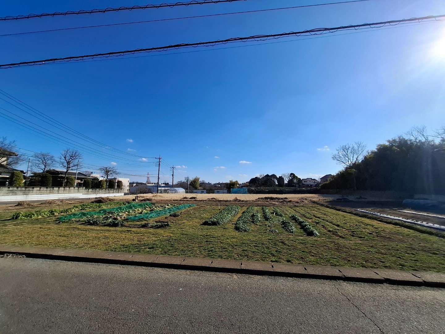 日本埼玉縣慈恩寺玄奘三藏舍利塔