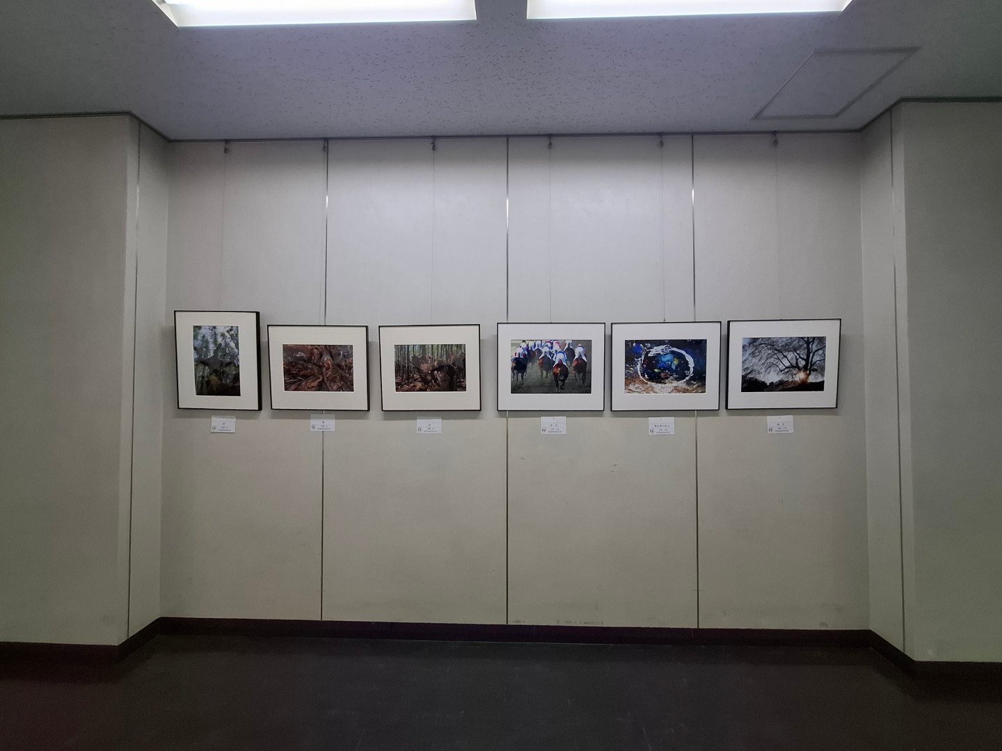 【台日交流展】日本埼玉近代美術館MOMAS的建築格柵中的光影詩篇-第49回《埼玉現展》