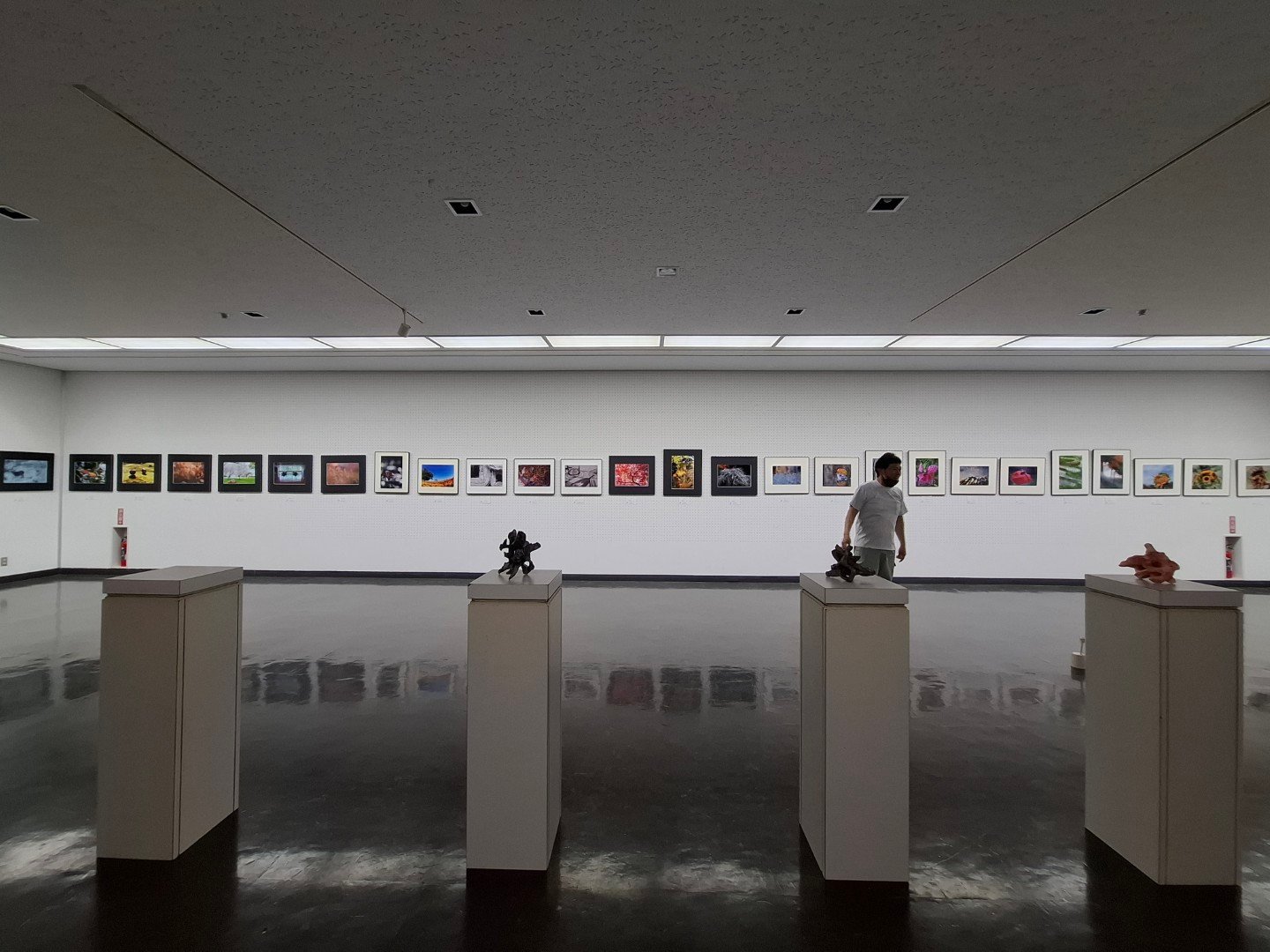 【台日交流展】日本埼玉近代美術館MOMAS的建築格柵中的光影詩篇-第49回《埼玉現展》