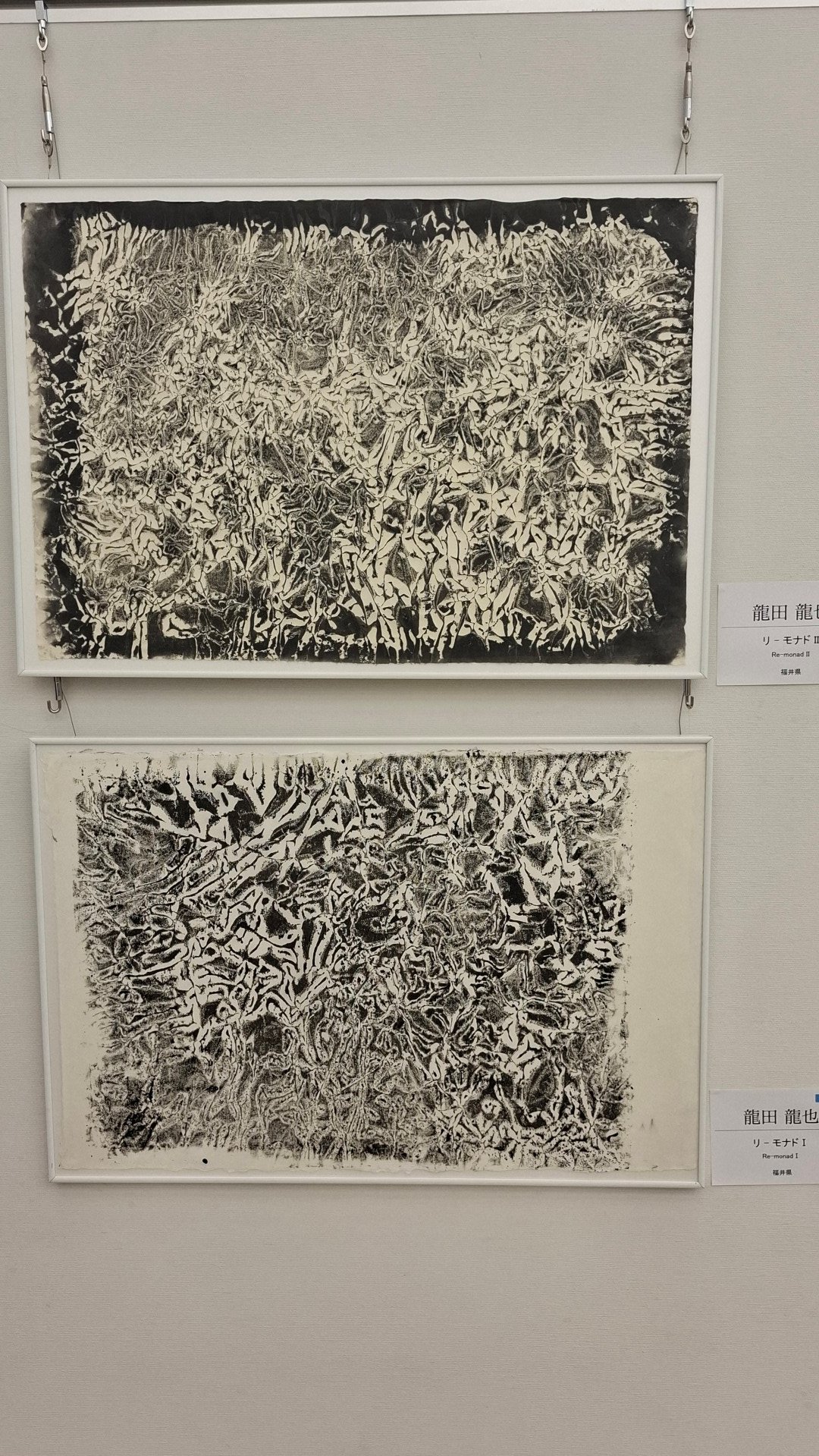 日本第二十三《NAU21世紀美術連立展》-東京國立新美術館展覽-美術館內作品展示